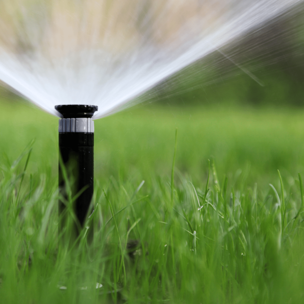 A sprinkler waters a green lawn.