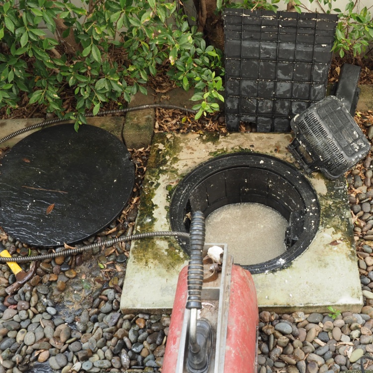 Sewer Clog Sewer Clog